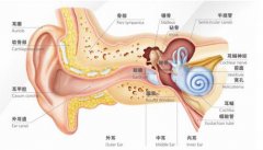 孩子家长注意了，宝宝耳朵进水后，可别这样瞎处理！