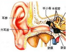 外耳道炎有哪些常见症状