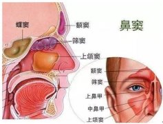 重庆耳鼻喉医院哪家好_鼻窦炎的症状表现