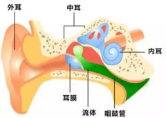 耳鼻喉科重庆医院那里好_中耳炎的症状表现