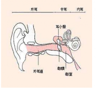 重庆耳鼻喉科医院排名_外耳道炎的病因