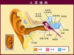 科普 | 什么是耵聍栓塞？——耵聍俗称耳屎，好在耳内镜下清理哦~