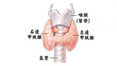 重庆治疗甲状腺专科医院-重庆仁品耳鼻喉医院