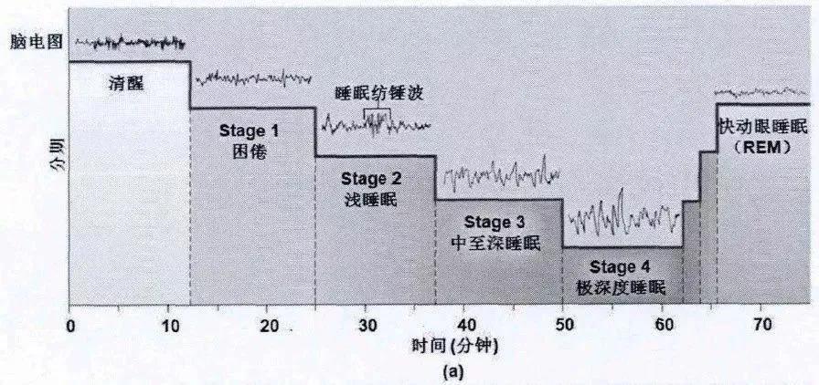 重庆耳鼻喉科医院排名